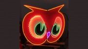Atlantic Neon