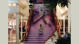 Interior Graphics