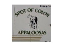 Horse Trailer Graphics