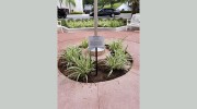 Sign Art Group