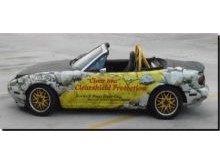 Commercial Wraps