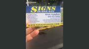 Signs In One Day